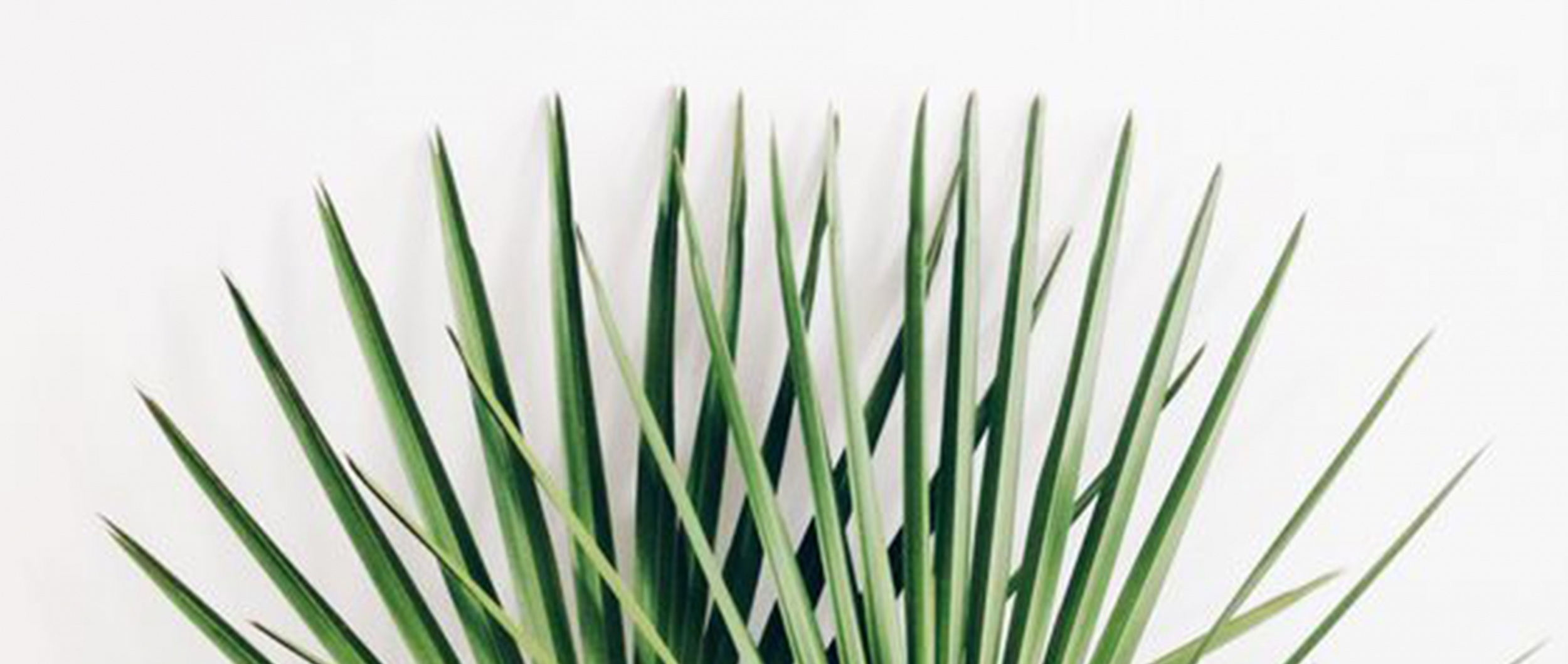 即刻与我们取得联络